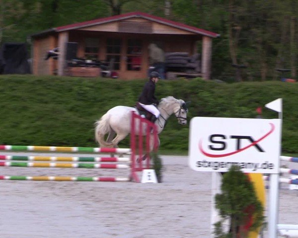 Reitturnier Pietzpuhl 2024