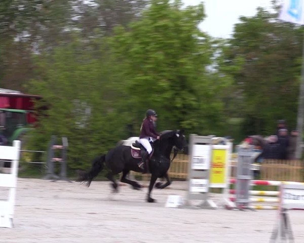 Reitturnier Pietzpuhl 2024