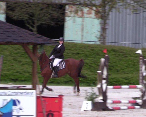 Reitturnier Pietzpuhl 2024