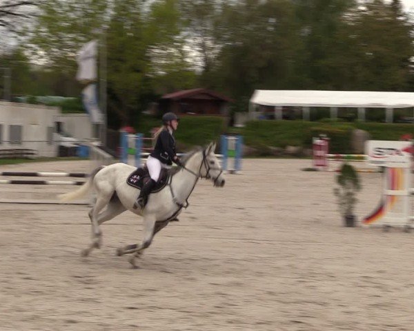 Reitturnier Pietzpuhl 2024