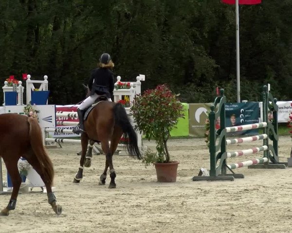 Reitturnier Isny-Rohrdorf 2021