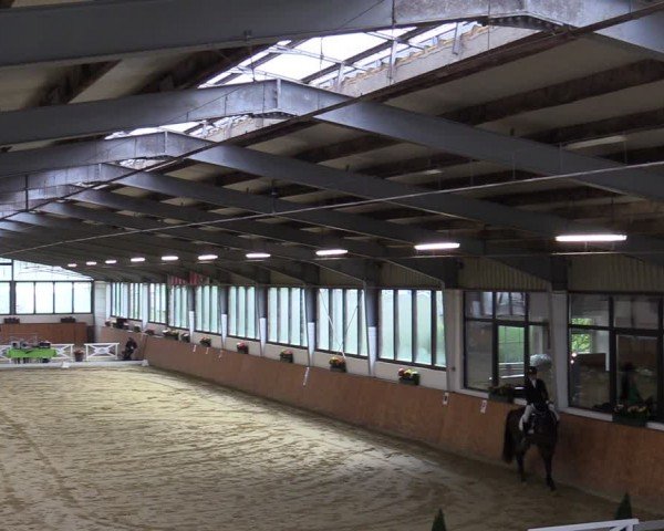 Reitturnier Werne-Lenklar 2024