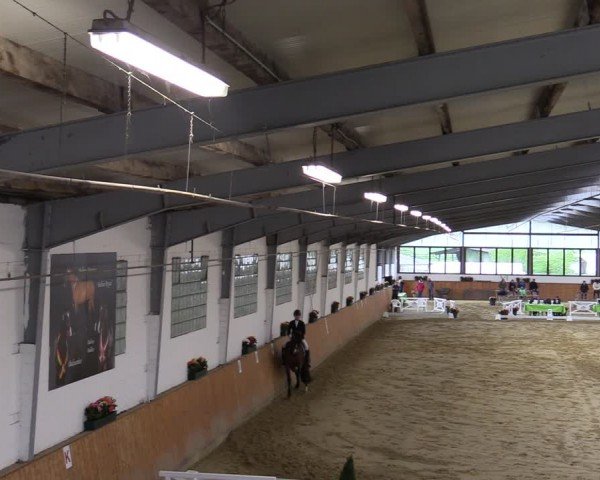 Reitturnier Werne-Lenklar 2024