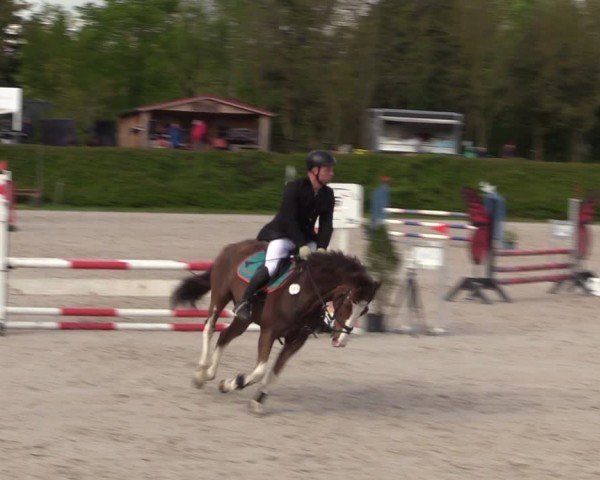 Reitturnier Pietzpuhl 2024