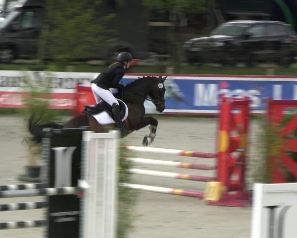Reitturnier Westergellersen 2024