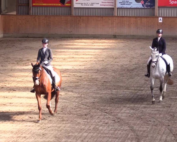 Reitturnier Leck 2024