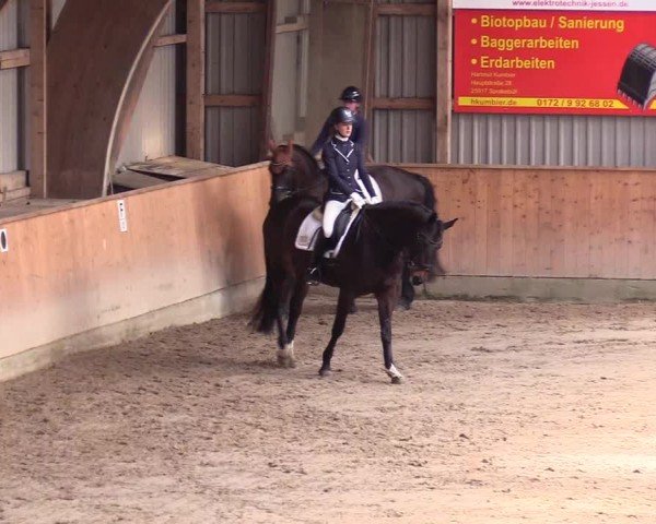 Reitturnier Leck 2024