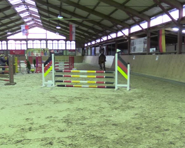Reitturnier Elisenau 2021