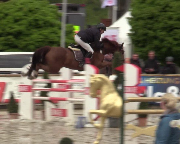 Lenklarer Reitertage Werne 2024