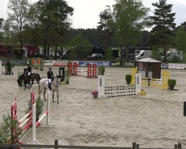 Reitturnier Westergellersen 2024