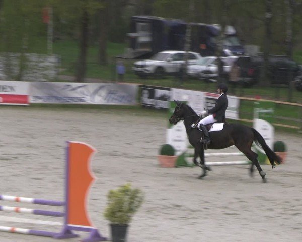 Reitturnier Westergellersen 2024