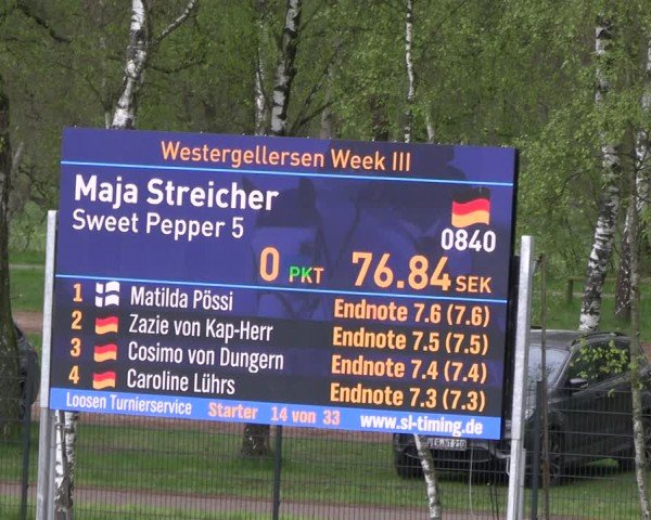 Reitturnier Westergellersen 2024