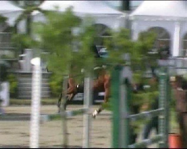 Vosswinkeler Reitertage CSN 2011