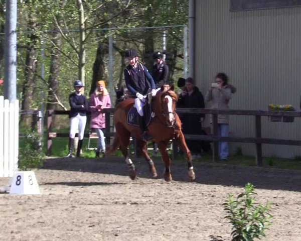 Reitturnier Leck 2024