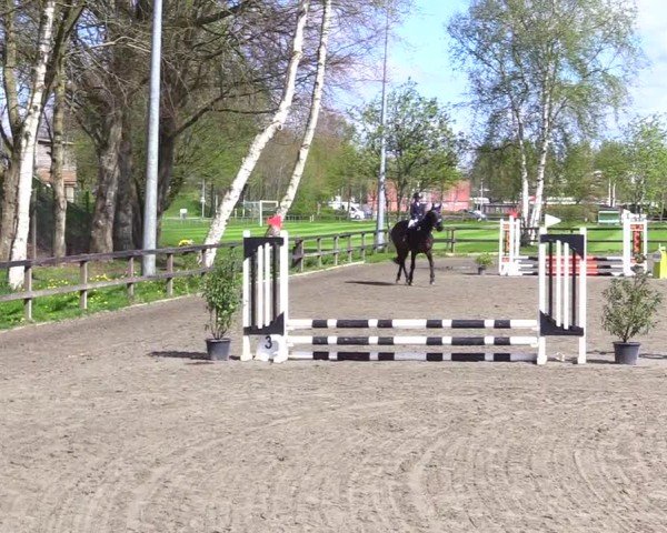 Reitturnier Leck 2024