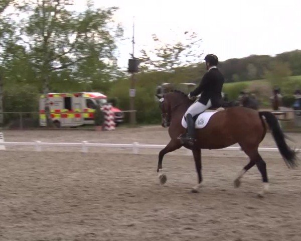 Reitturnier Landenhausen 2024