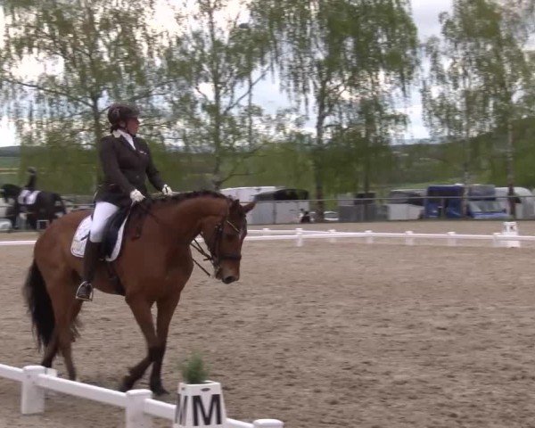 Reitturnier Landenhausen 2024