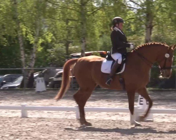 Reitturnier Landenhausen 2024