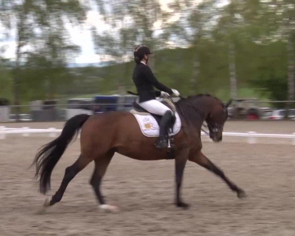 Reitturnier Landenhausen 2024
