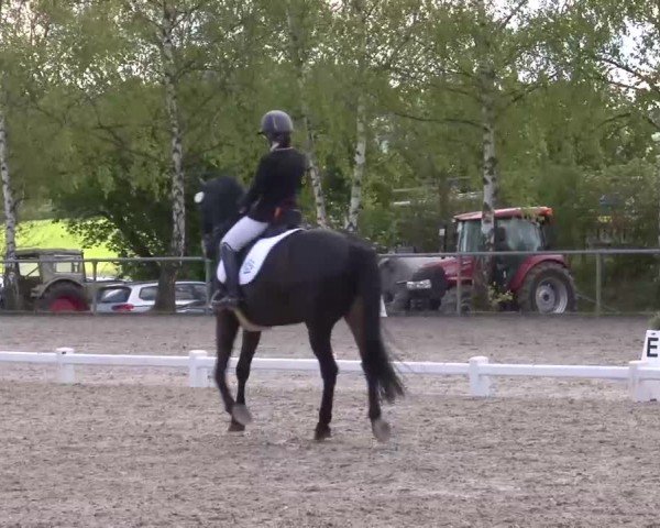 Reitturnier Landenhausen 2024