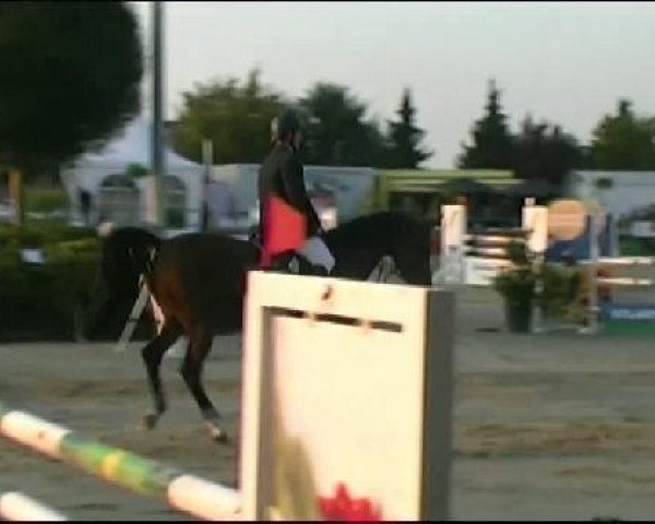 Vosswinkeler Reitertage CSN 2011