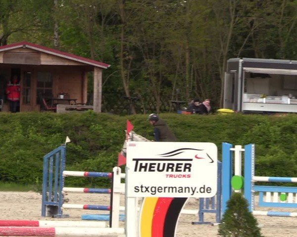 Reitturnier Pietzpuhl 2024