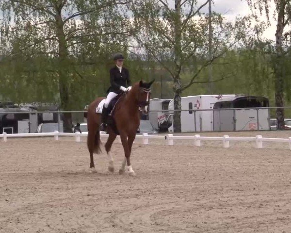 Reitturnier Landenhausen 2024