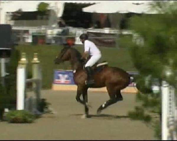 Vosswinkeler Reitertage CSN 2011