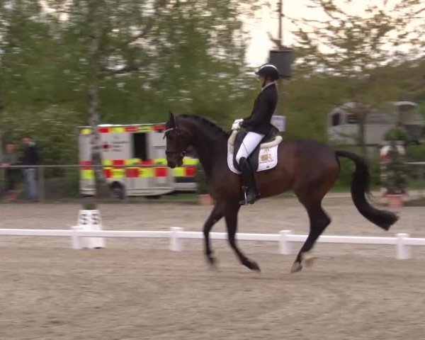 Reitturnier Landenhausen 2024