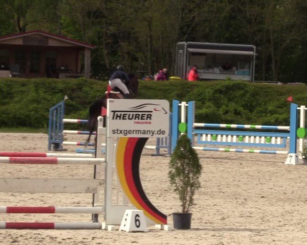 Reitturnier Pietzpuhl 2024