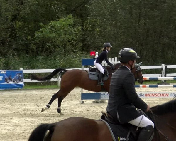 Reitturnier Isny-Rohrdorf 2021