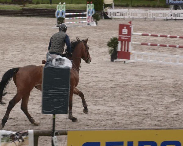 Reitturnier Tübingen 2024