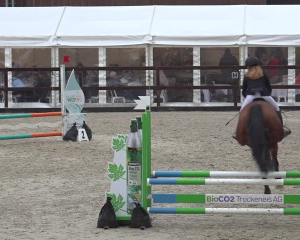 Reitturnier Sulgen 2024