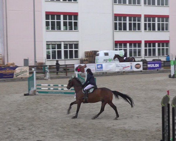 Reitturnier Sulgen 2024