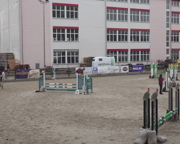Reitturnier Sulgen 2024