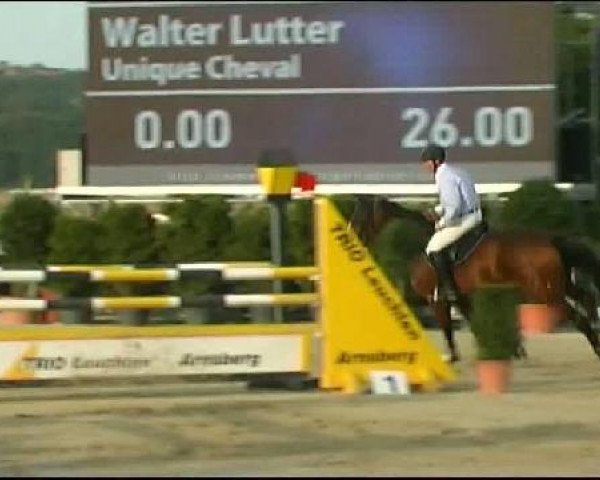 Vosswinkeler Reitertage CSN 2011
