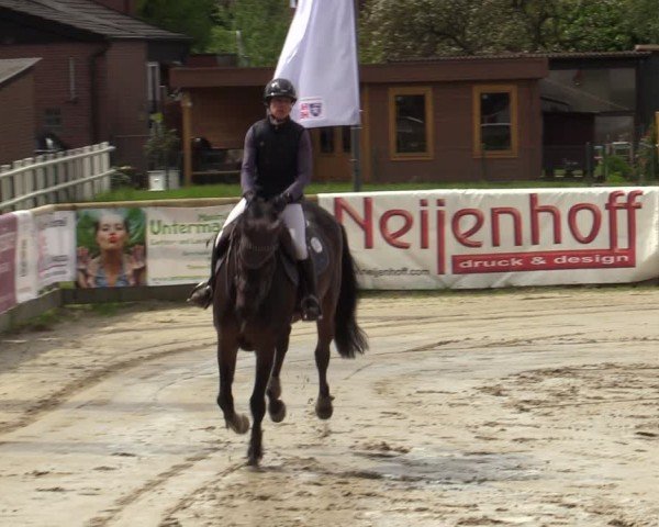 Lenklarer Reitertage Werne 2024