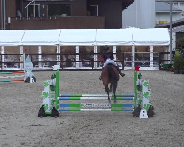 Reitturnier Sulgen 2024