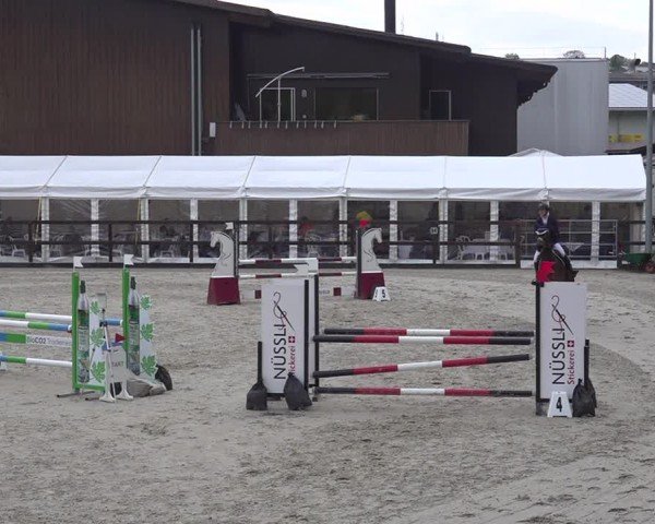 Reitturnier Sulgen 2024