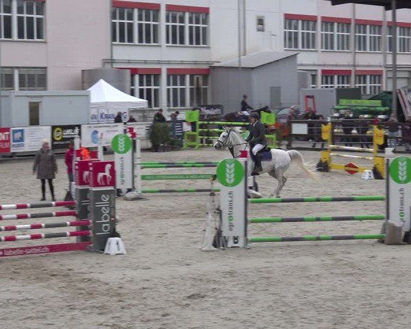 Reitturnier Sulgen 2024