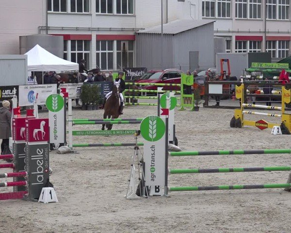 Reitturnier Sulgen 2024