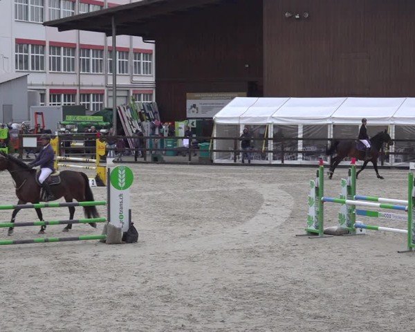 Reitturnier Sulgen 2024