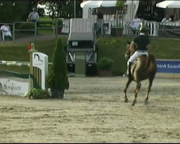 Reitturnier Arnsberg-Voßwinkel 2011