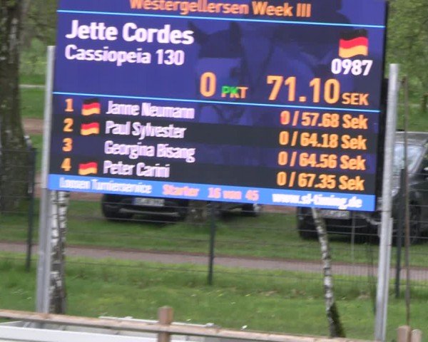 Reitturnier Westergellersen 2024