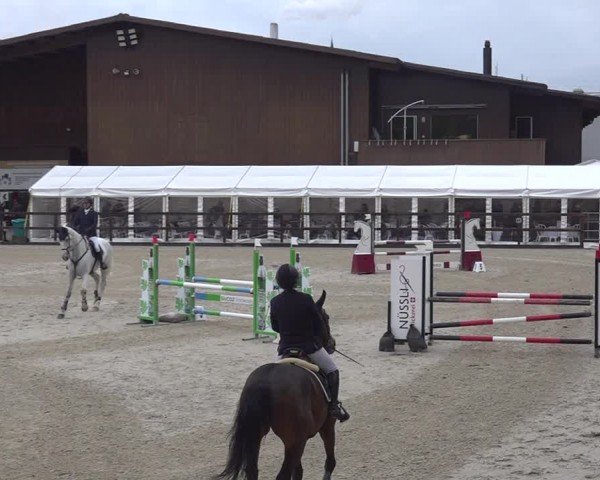 Reitturnier Sulgen 2024
