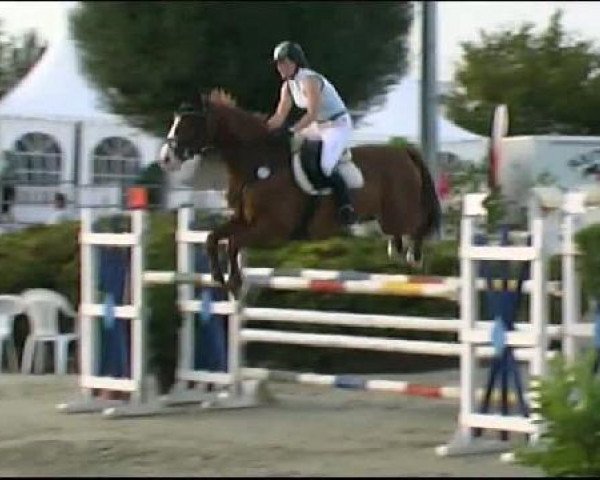 Vosswinkeler Reitertage CSN 2011