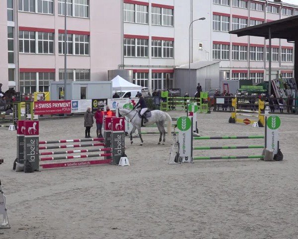 Reitturnier Sulgen 2024