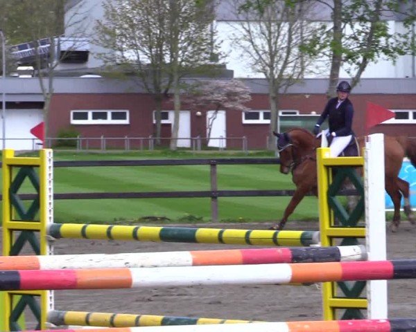 Reitturnier Leck 2024