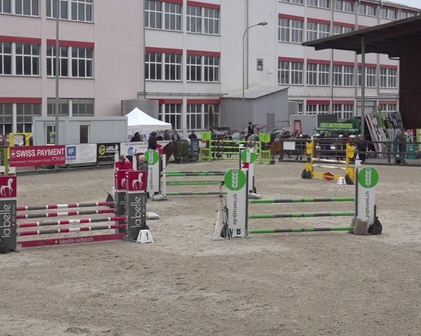 Reitturnier Sulgen 2024