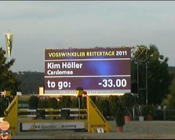 Vosswinkeler Reitertage CSN 2011